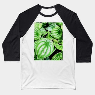 Peperomia argyreia plants Baseball T-Shirt